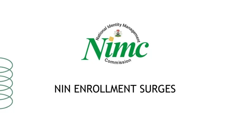 Digital illustration of the Nigerian National Identity Number (NIN) card and digital identity network.