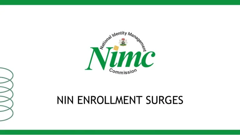 Digital illustration of the Nigerian National Identity Number (NIN) card and digital identity network.