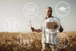 Revolutionising Agriculture: How African Tech Startups are Boosting Food Security