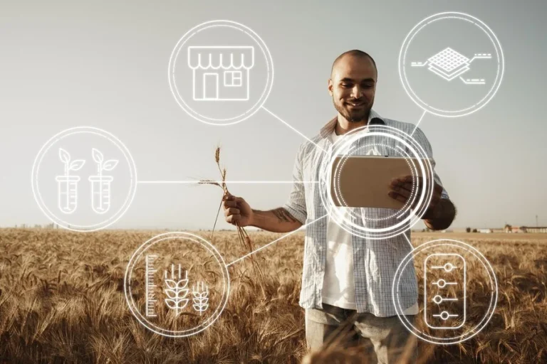 Revolutionising Agriculture: How African Tech Startups are Boosting Food Security