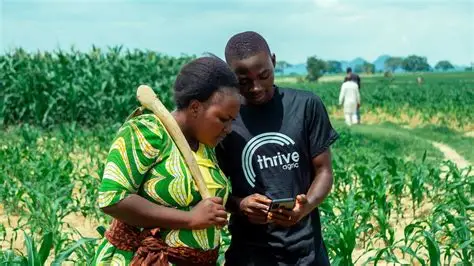 Young Africans are Rewriting the Story of Farming with Technology
