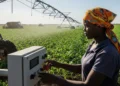 AI in African Agriculture