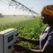 AI in African Agriculture