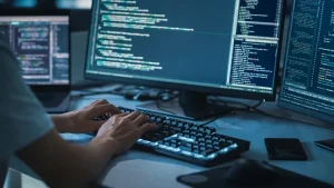 Software course developer