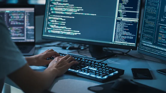 Software course developer