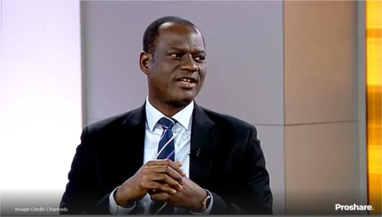 Taiwo Oyedele Tax Reforms for Nigeria