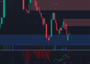 The Harsh Reality Behind Degen Trading