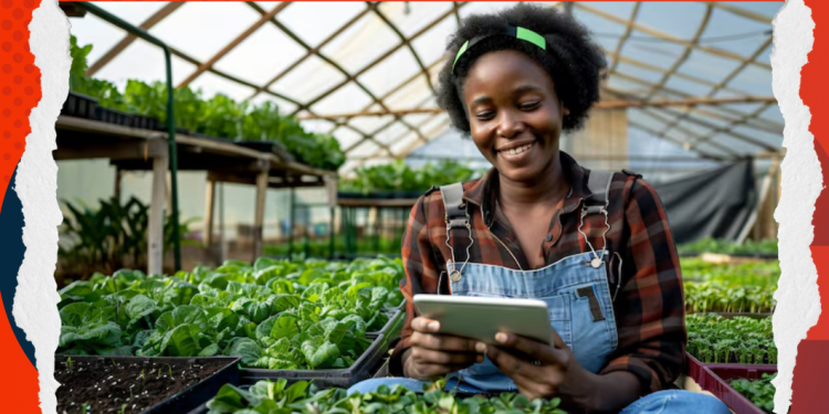 African Farmers Double Their Harvest Using Phones and AI. Here’s How