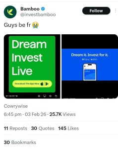 Techsoma Africa Bamboo X Post