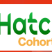 iHatch incubation programme