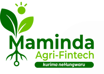 Techsoma Africa