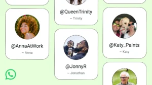 Whatsapp Usernames