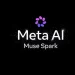 Techsoma Africa Muse Spark Gets Delayed