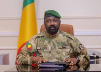 Mali Launches Digital Health Platform for Citizens