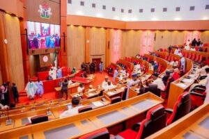 A picture of the Nigerian senate