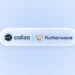 Caliza and Flutterwave partnership