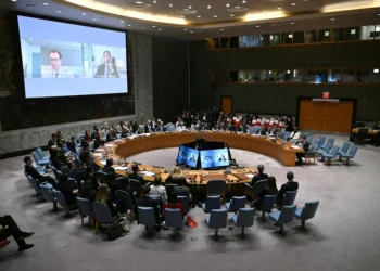 OpenAI and Anthropic CEOs addressing UN Security Council on AI regulation
