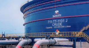 Dangote IPO crashes investment websites