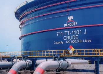 Dangote IPO crashes investment websites