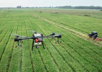 Agritech funding in Africa