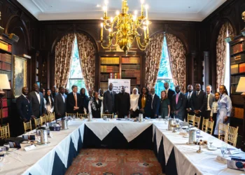 An image of flutterwave UNGA roundtable