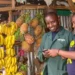 Twiga Foods Enters Administration After Raising $185 Million 5 Fresh produce at a Kenyan market, the supply chain Twiga Foods spent a decade trying to rebuild