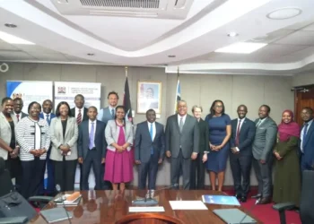 How Kenya Built a Digital Transformation Model Other African Countries Can Copy 10 Kenyan professionals at a digital innovation hub with computers and training materials, representing the DigiKen programme